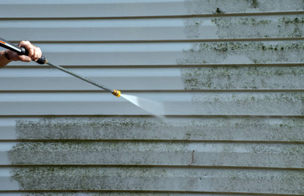 Best Office Mold Removal Services  in Forestdale, MA
