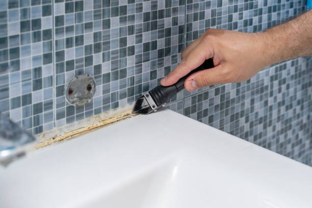 Best Commercial Mold Removal  in Forestdale, MA